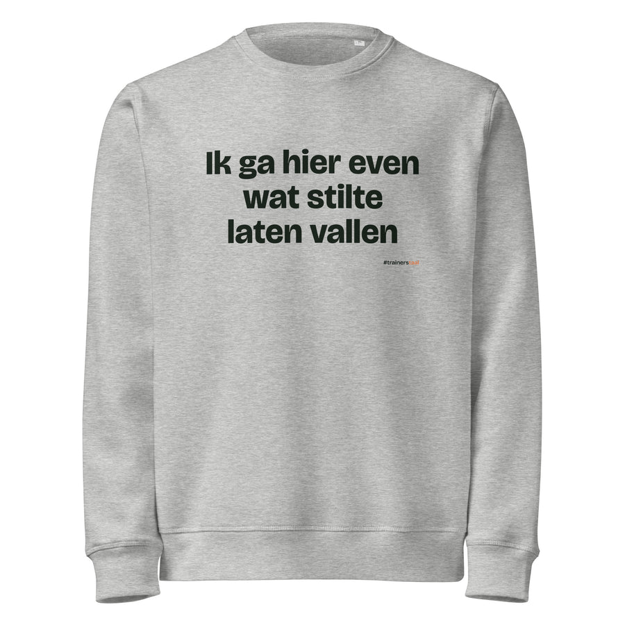 Ik ga hier even wat stilte laten vallen – sweater grijs gemêleerd