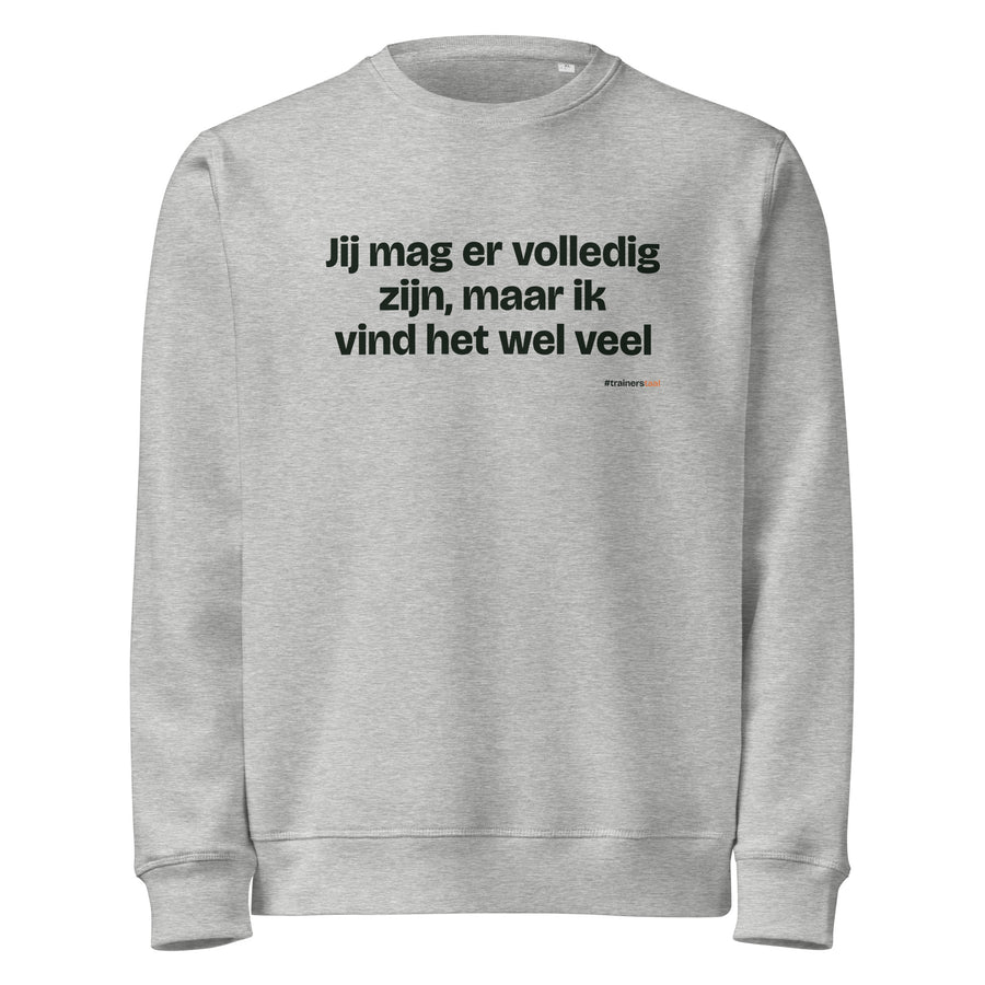 Jij mag er volledig zijn, maar ik vind het wel veel – sweater grijs gemêleerd