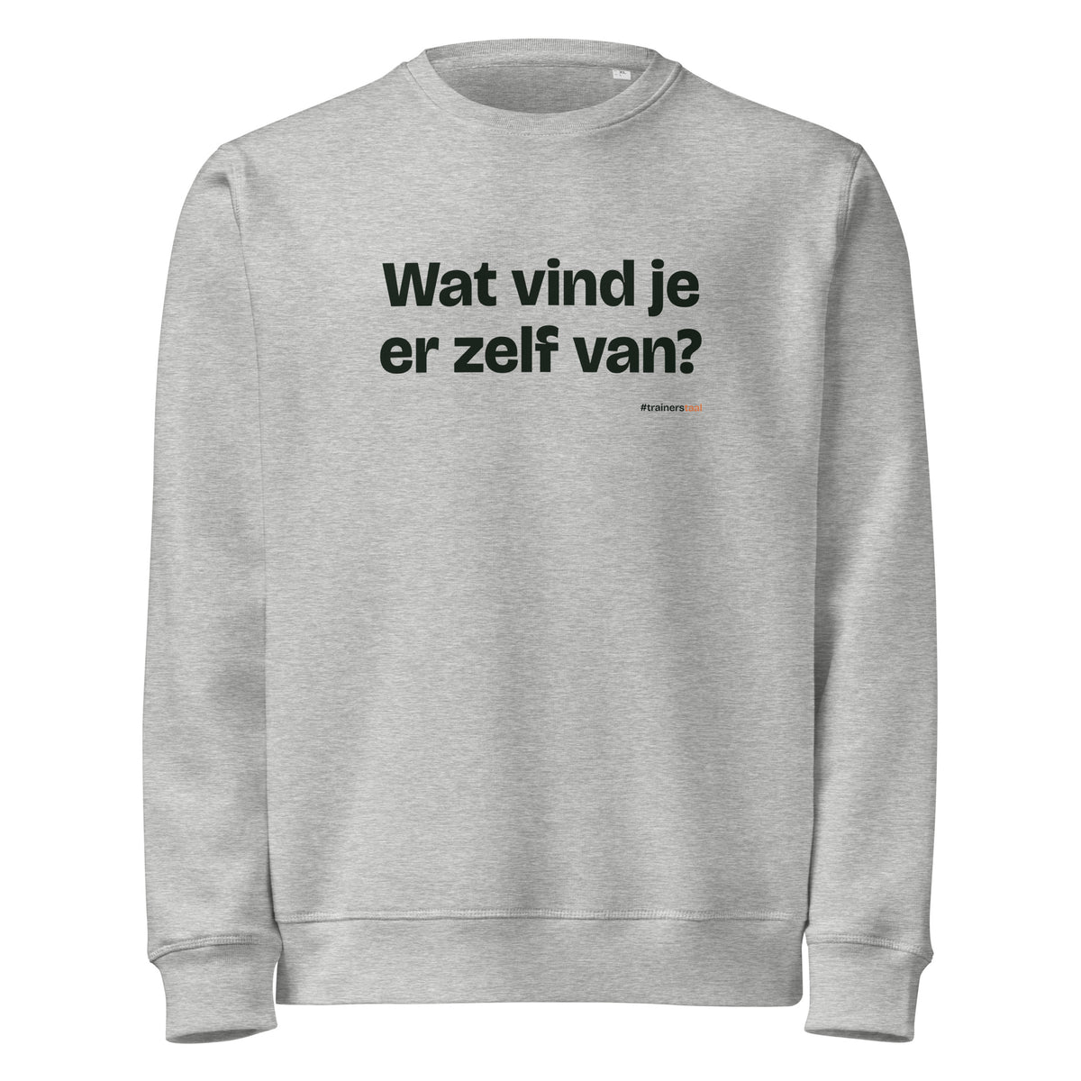 Wat vind je er zelf van? – sweater grijs gemêleerd