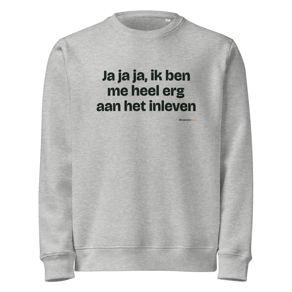 Ja ja ja, ik ben me heel erg aan het inleven – sweater grijs gemêleerd
