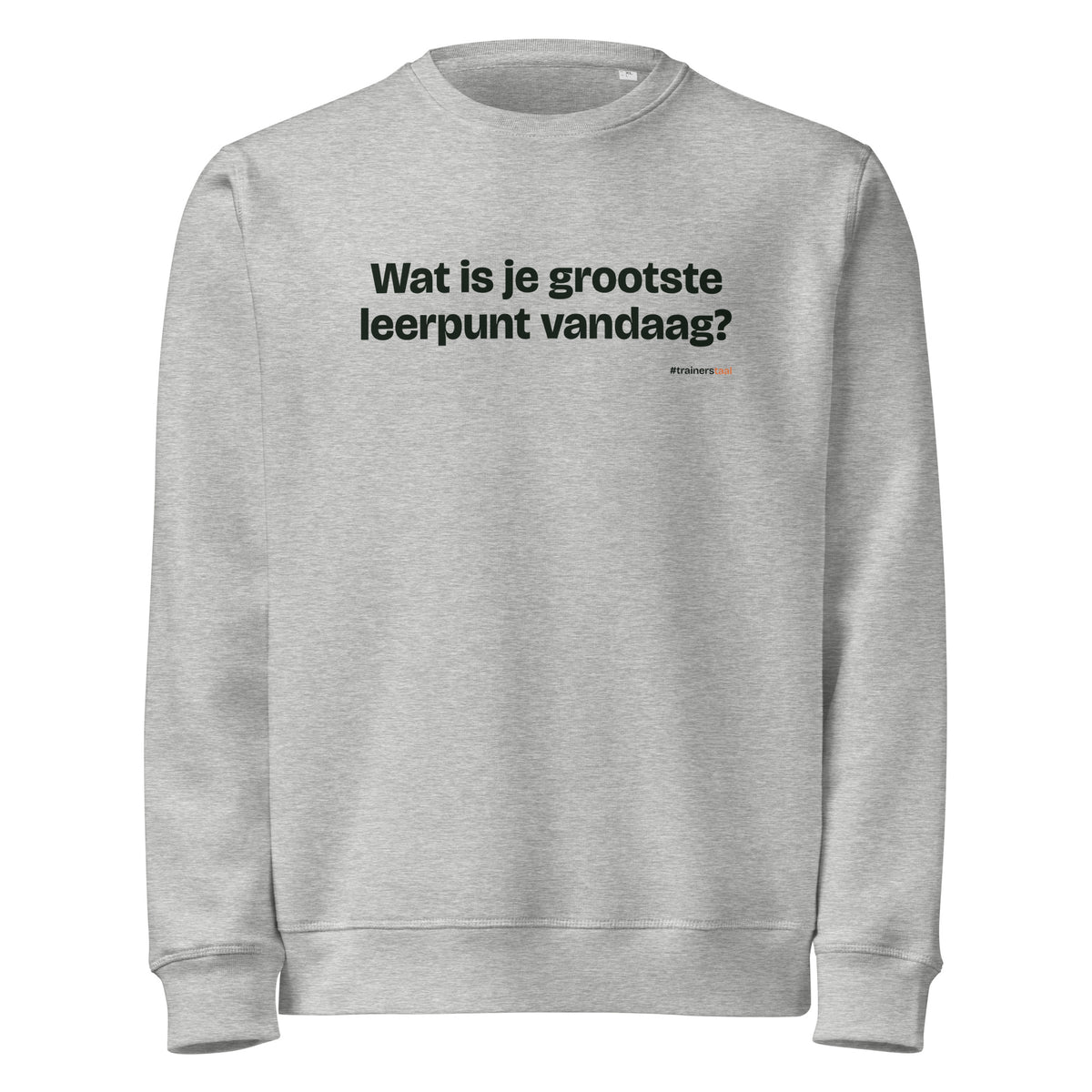 Wat is je grootste leerpunt vandaag? – sweater grijs gemêleerd