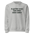 Ik ga hier even wat stilte laten vallen – sweater grijs gemêleerd