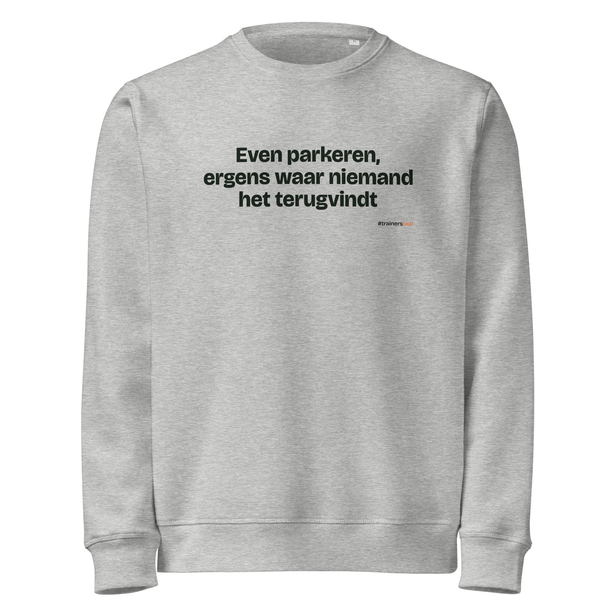 Even parkeren, ergens waar niemand het terugvindt – sweater grijs gemêleerd