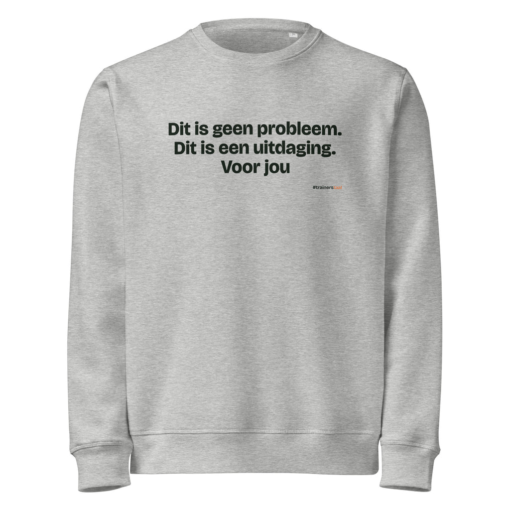 Dit is geen probleem. Dit is een uitdaging. Voor jou – sweater grijs gemêleerd