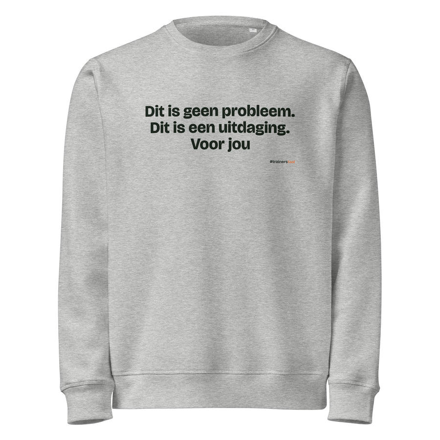 Dit is geen probleem. Dit is een uitdaging. Voor jou – sweater grijs gemêleerd